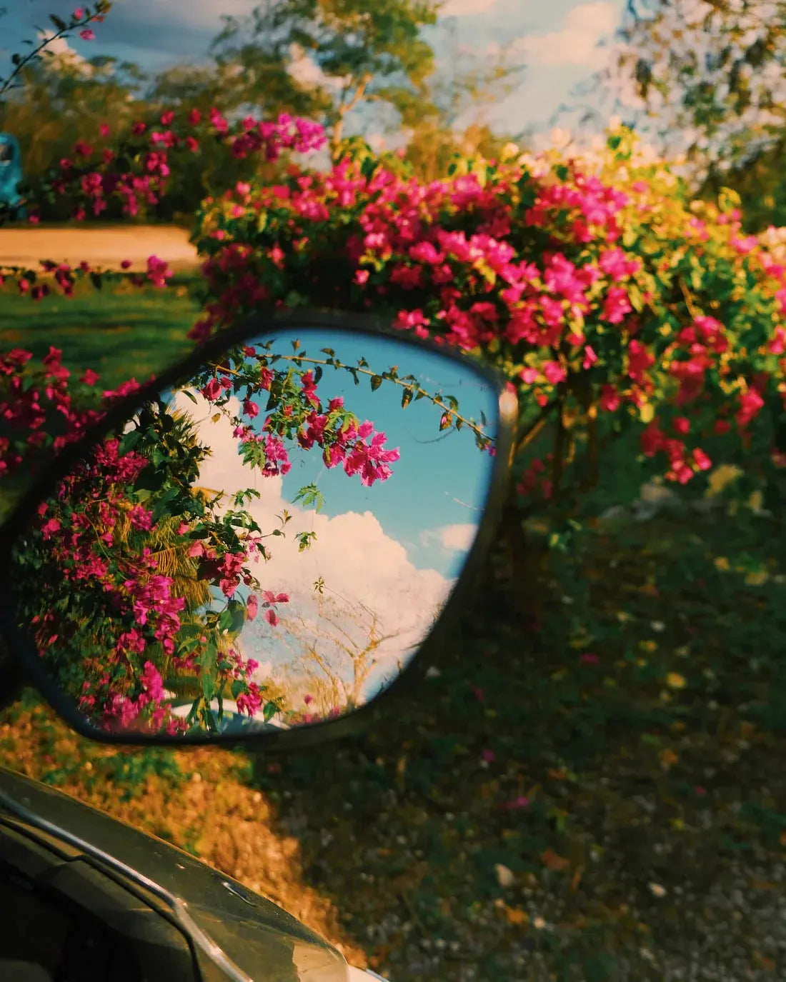 Mirror Bloom contemporary wall art print by Mandy Sham - sold by DROOL