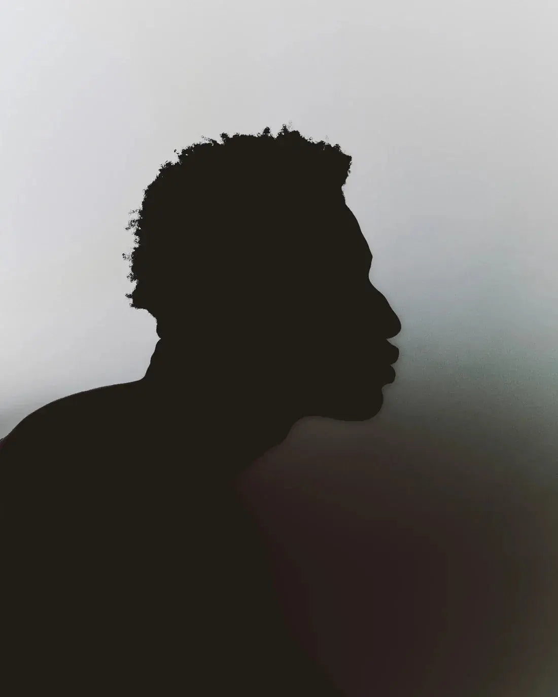 Profile Silhouette contemporary wall art print by Colin Cassidy - sold by DROOL