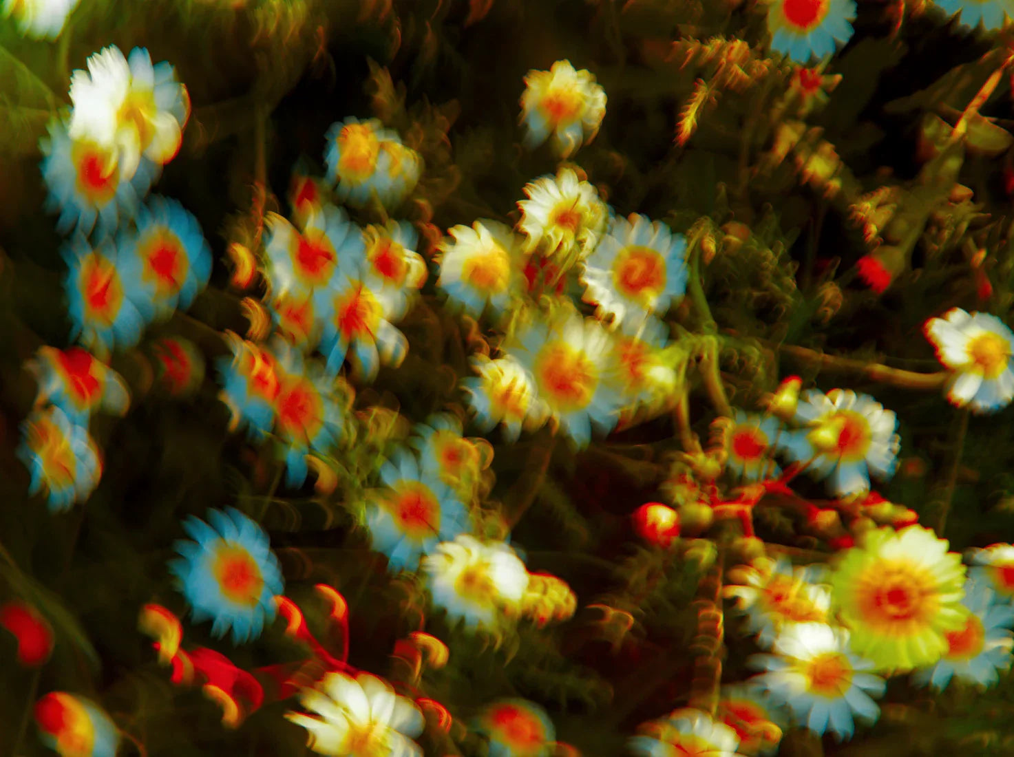 July contemporary wall art print by Omar Belattar - sold by DROOL