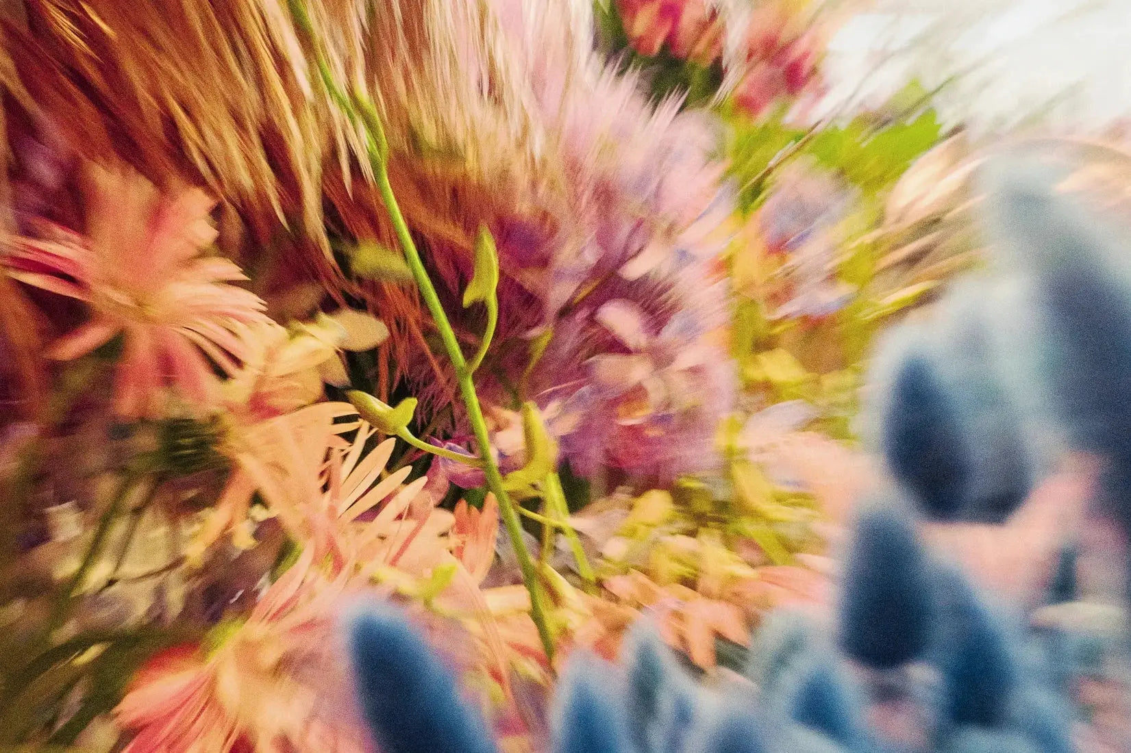 Floral Blur contemporary wall art print by Molly Strohl - sold by DROOL
