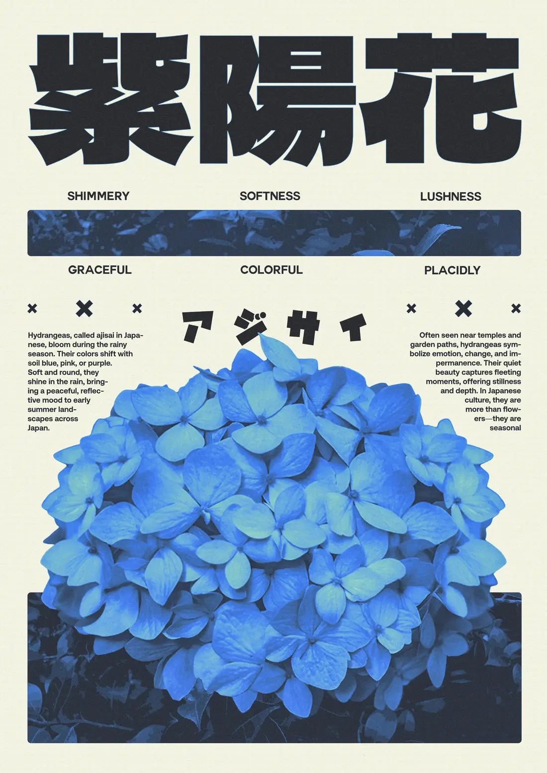 Hydrangea Poster