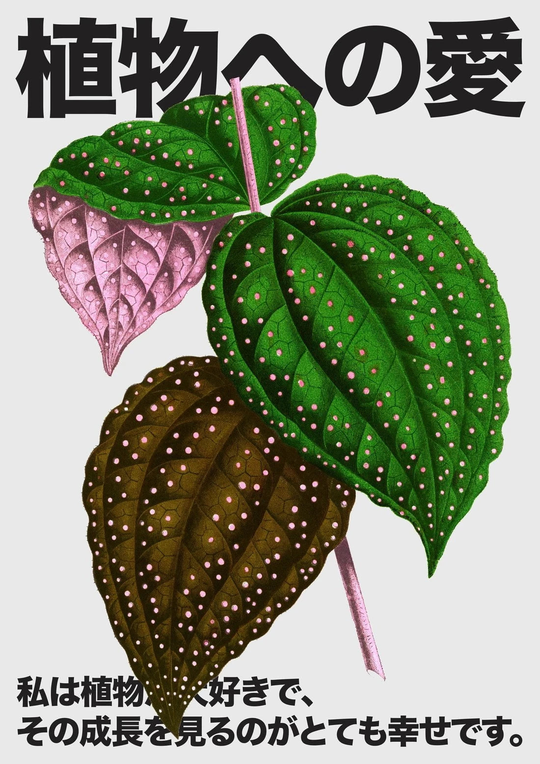 Plant Love 4 contemporary wall art print by DROOL Collective - sold by DROOL
