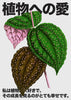 Plant Love 4 contemporary wall art print by DROOL Collective - sold by DROOL