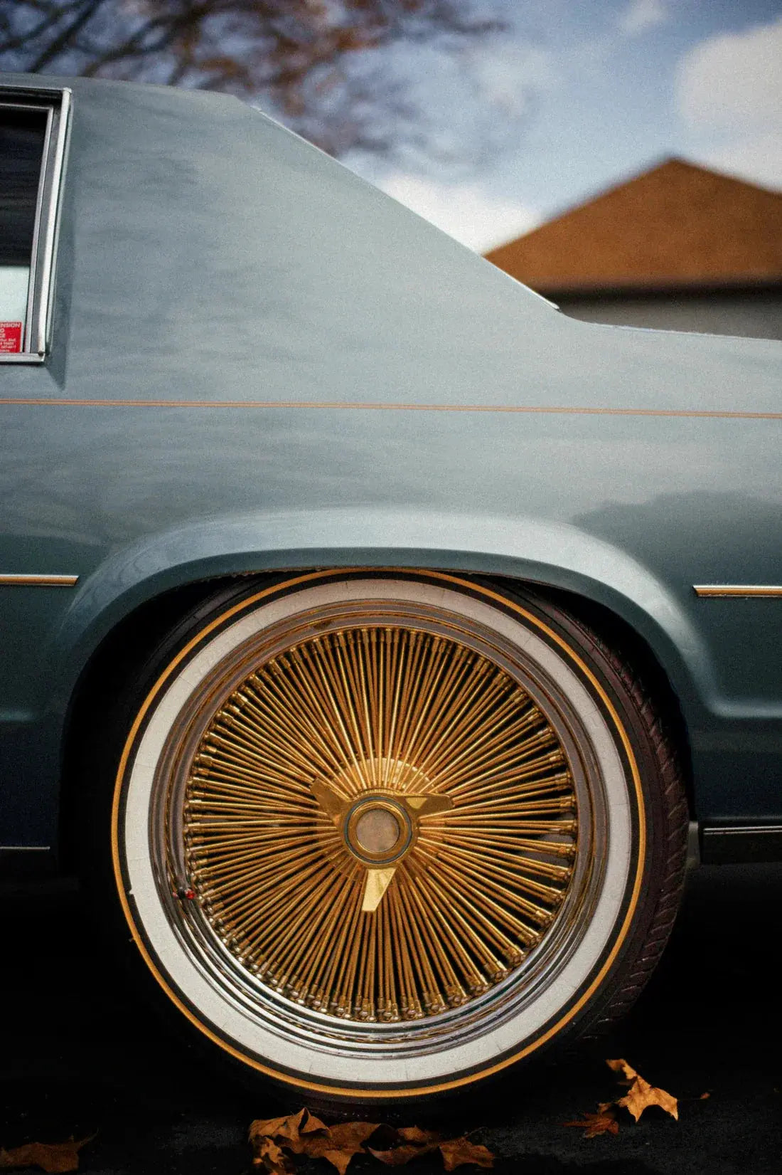 Golden Rim contemporary wall art print by Paul McKenzie - sold by DROOL