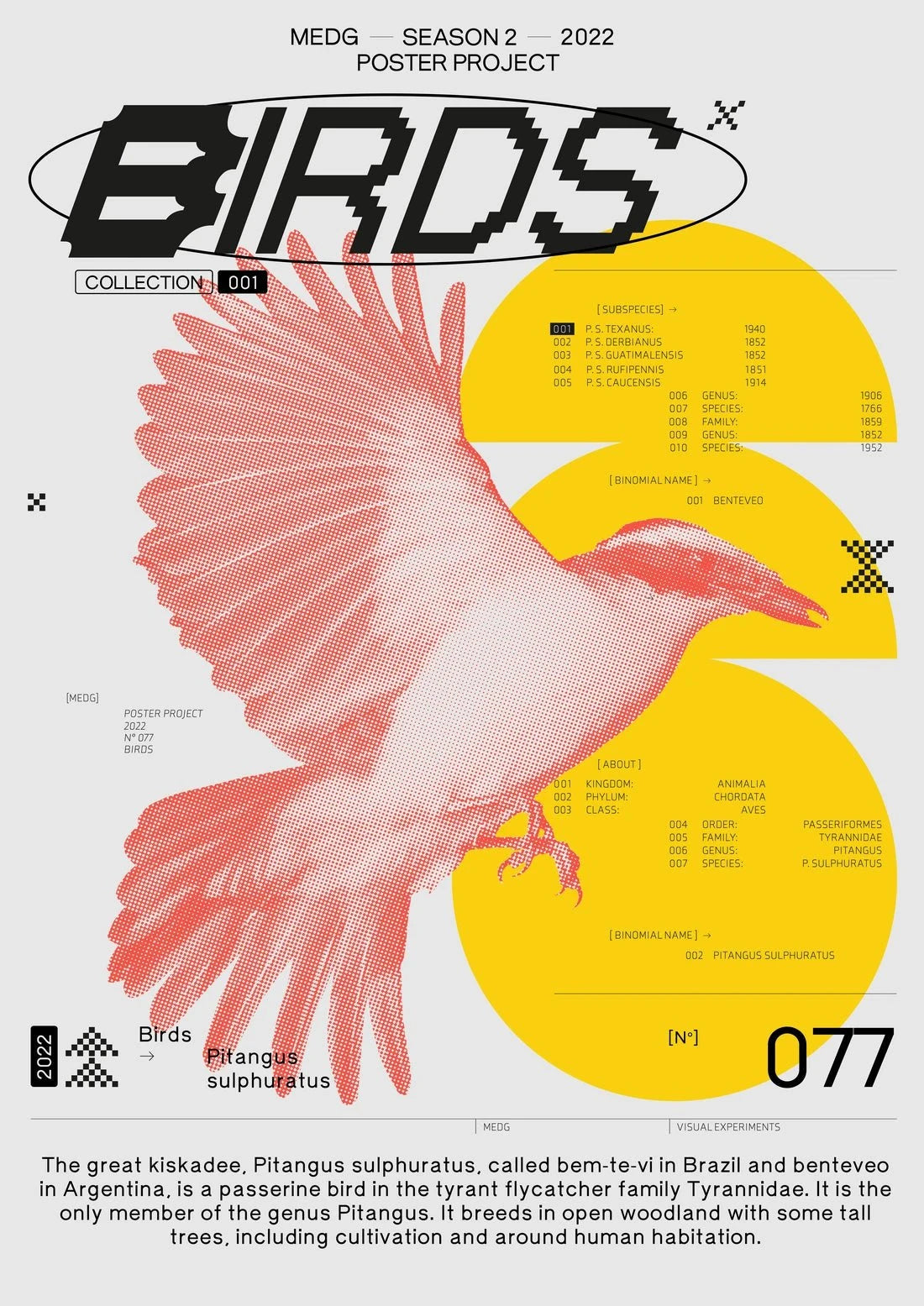 Birds contemporary wall art print by MEDG - sold by DROOL