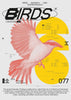 Birds contemporary wall art print by MEDG - sold by DROOL