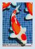 Kohaku contemporary wall art print by Othman Zougam - sold by DROOL
