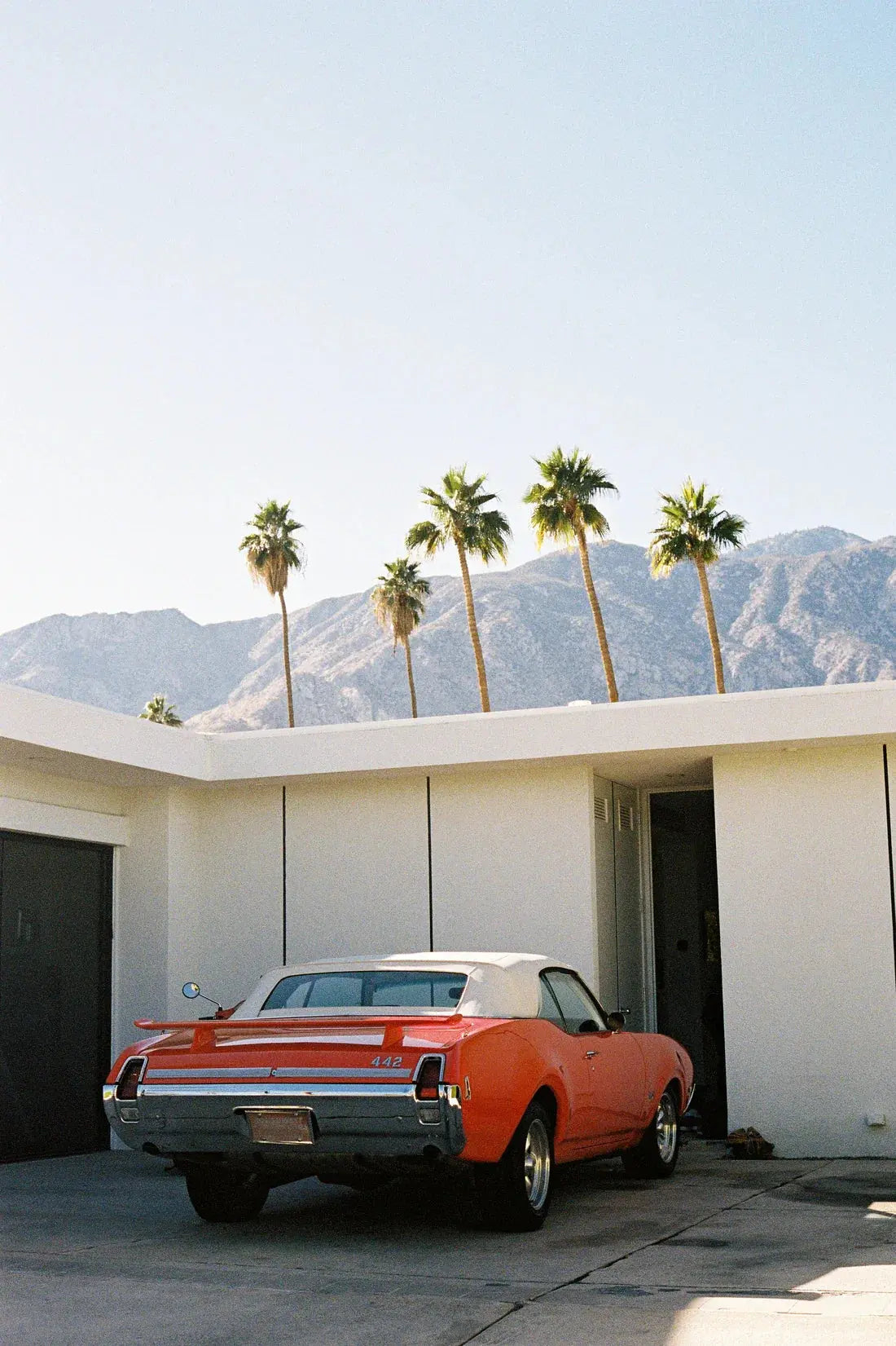 Driveway contemporary wall art print by Thomas Irwin - sold by DROOL