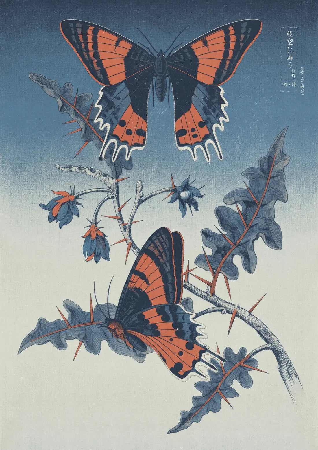 The Wild Garden