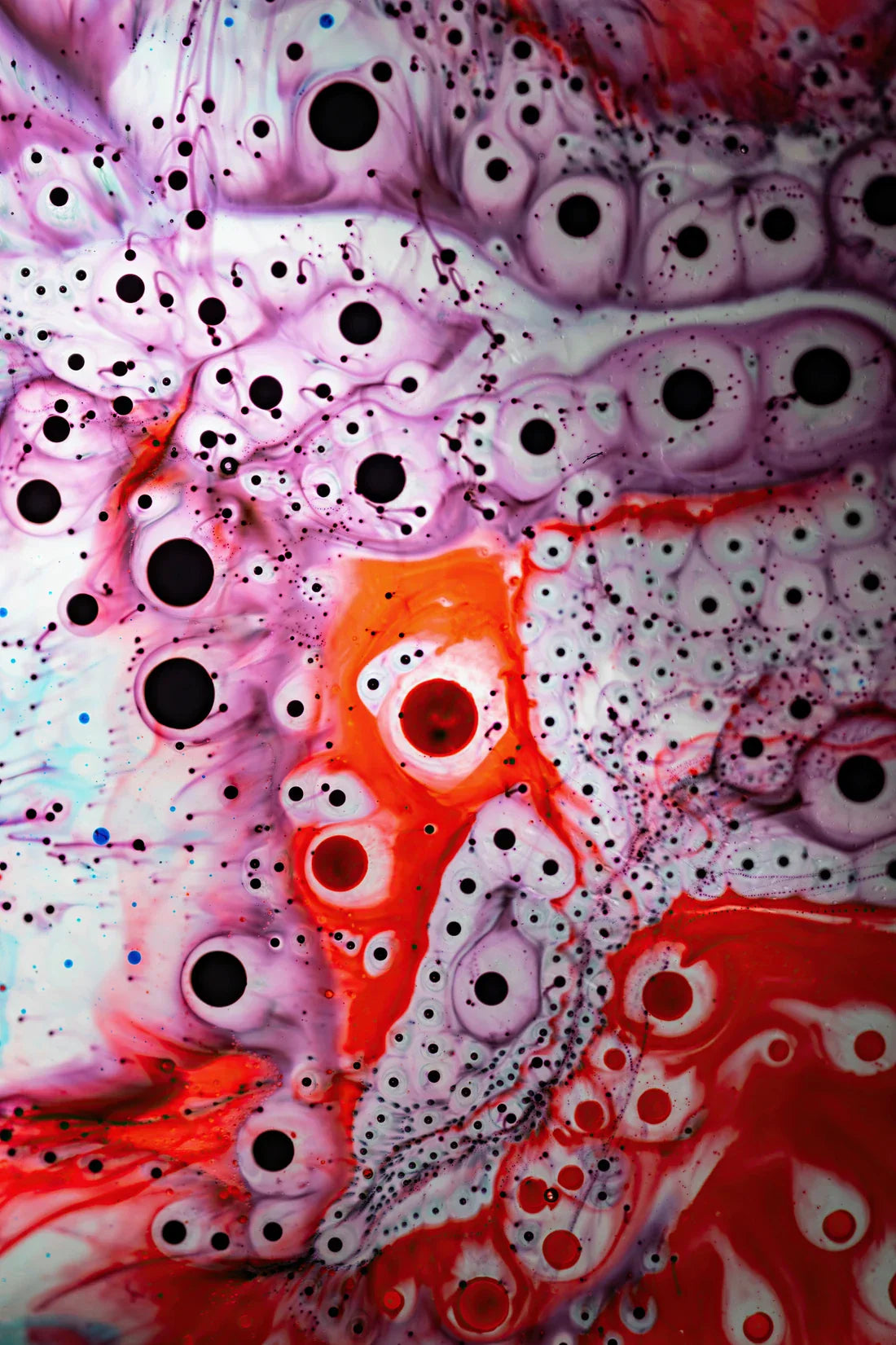 Crimson Cells contemporary wall art print by Jasmin Javon - sold by DROOL