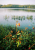 Lake Siloam contemporary wall art print by Kenzie Meeker - sold by DROOL
