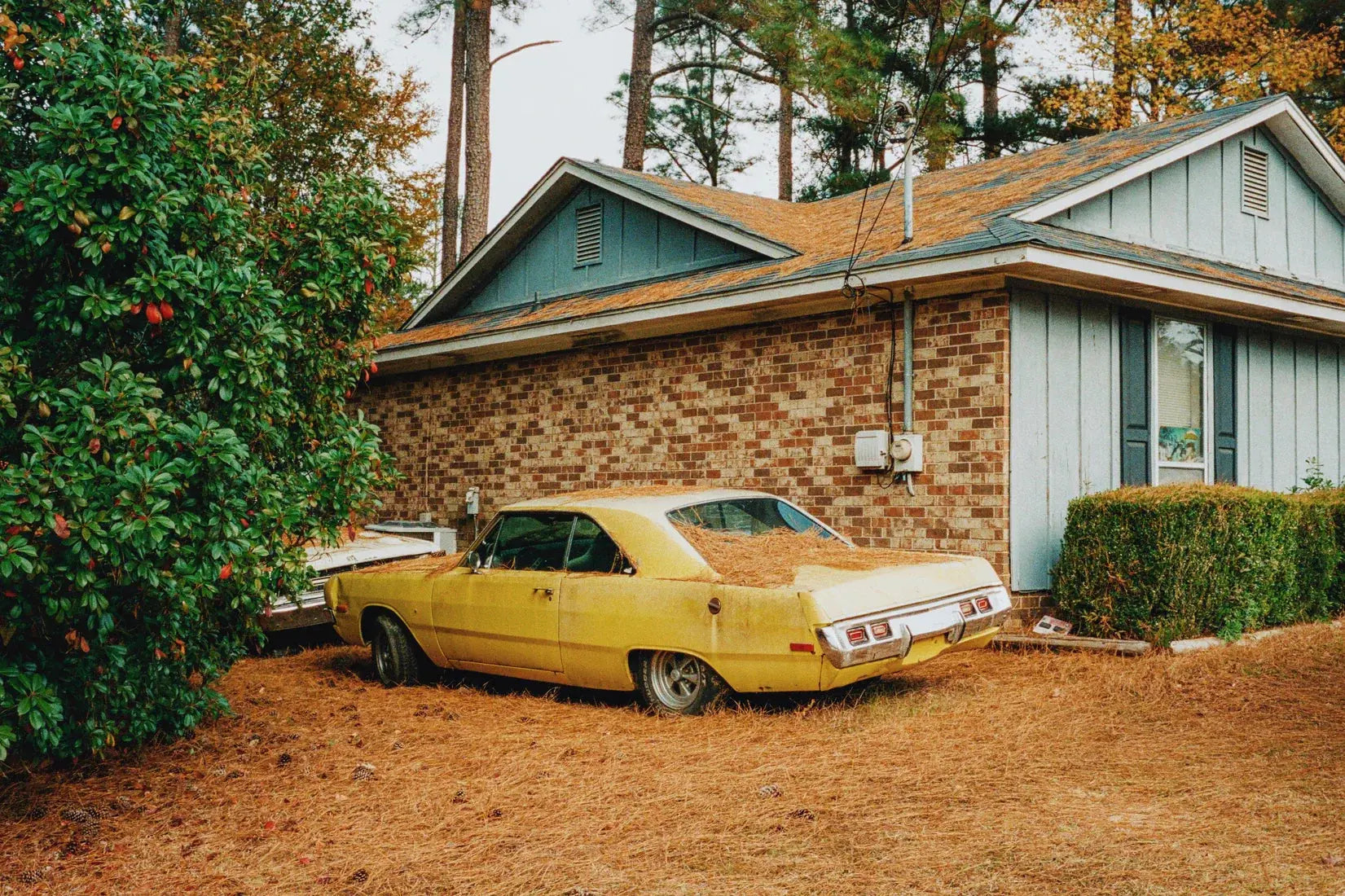 Buried contemporary wall art print by Kelsey Smith - sold by DROOL