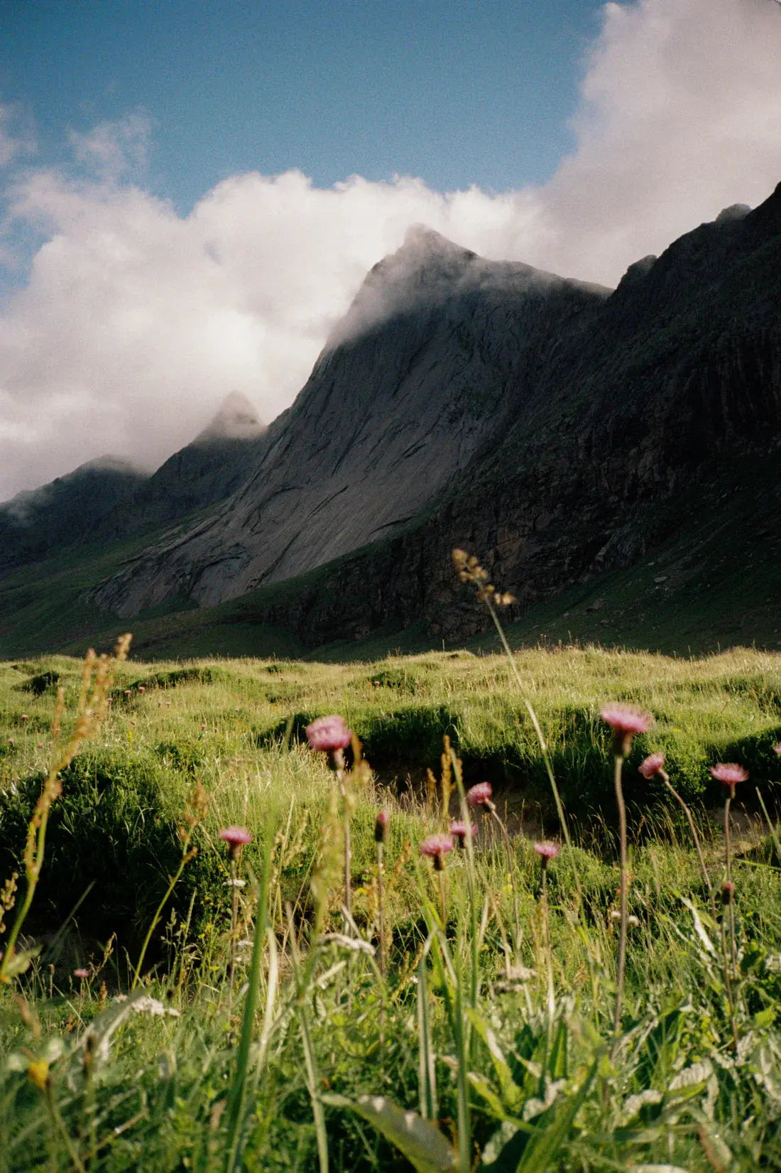 Misty Mountain contemporary wall art print by Hannes Becker - sold by DROOL