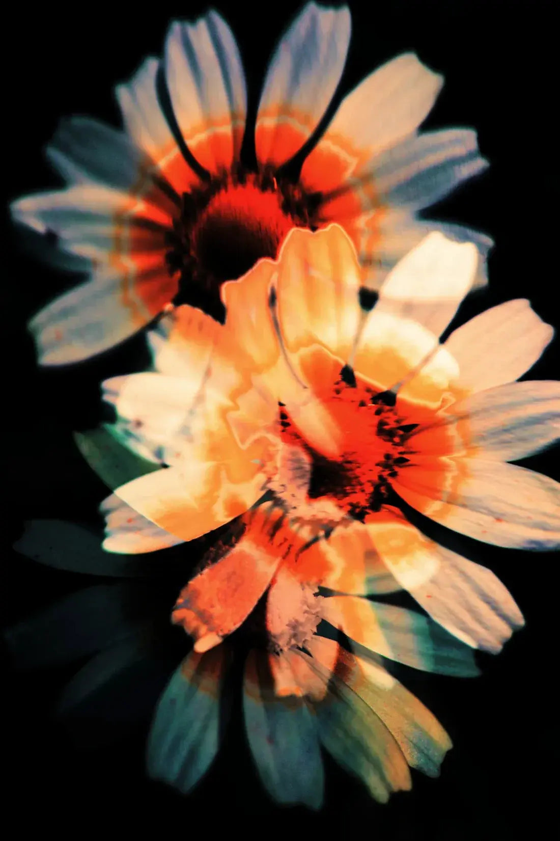 Double Exposure contemporary wall art print by Omar Belattar - sold by DROOL