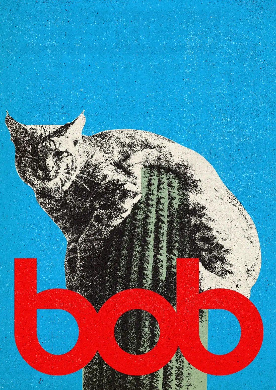 Bob