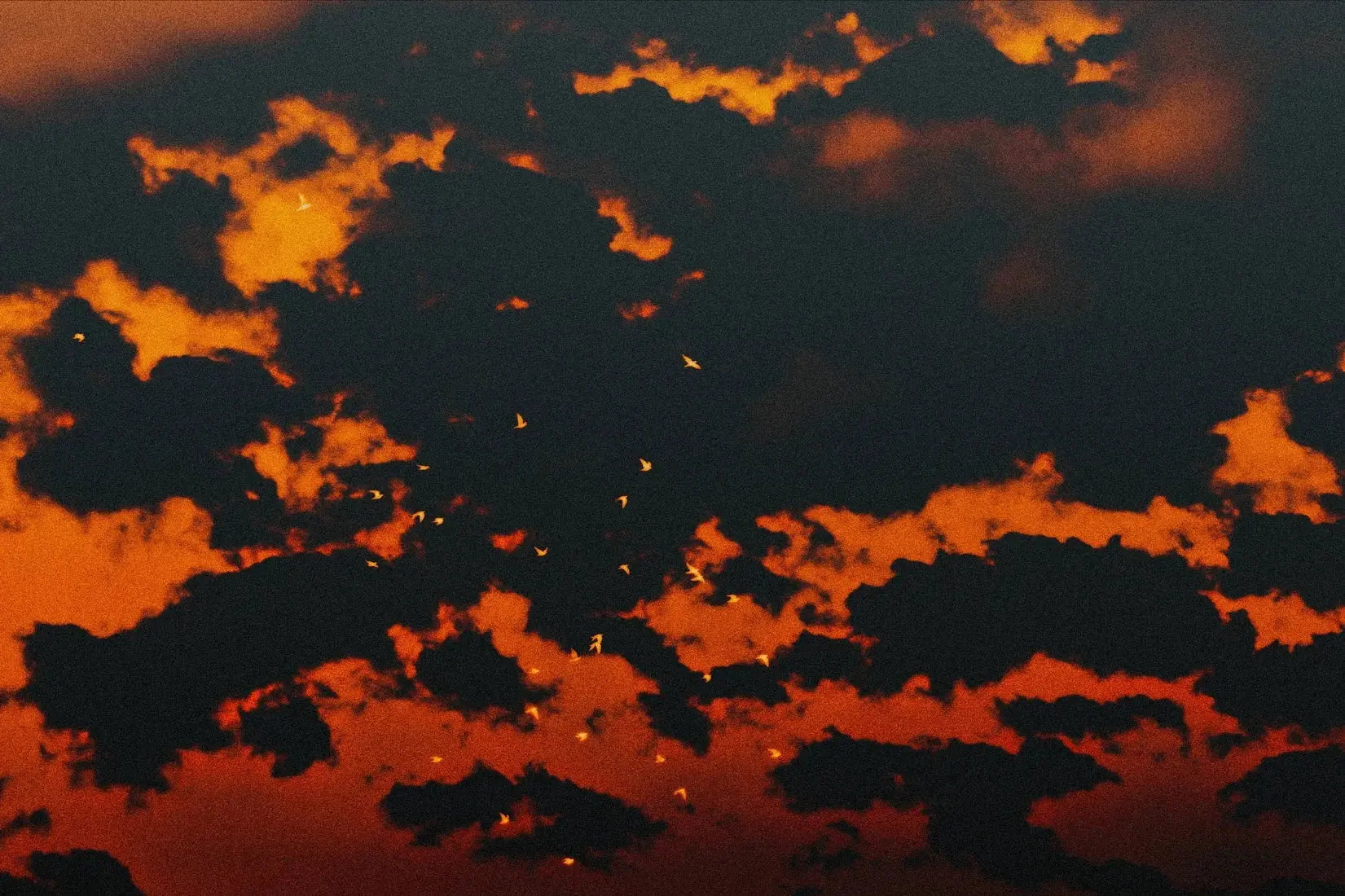 Red Sky contemporary wall art print by Omar Belattar - sold by DROOL