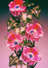 Eyes, Hands, & Pink Flowers contemporary wall art print by Paulina Almira - sold by DROOL