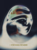 Celestial Moment contemporary wall art print by Antoine Paikert - sold by DROOL