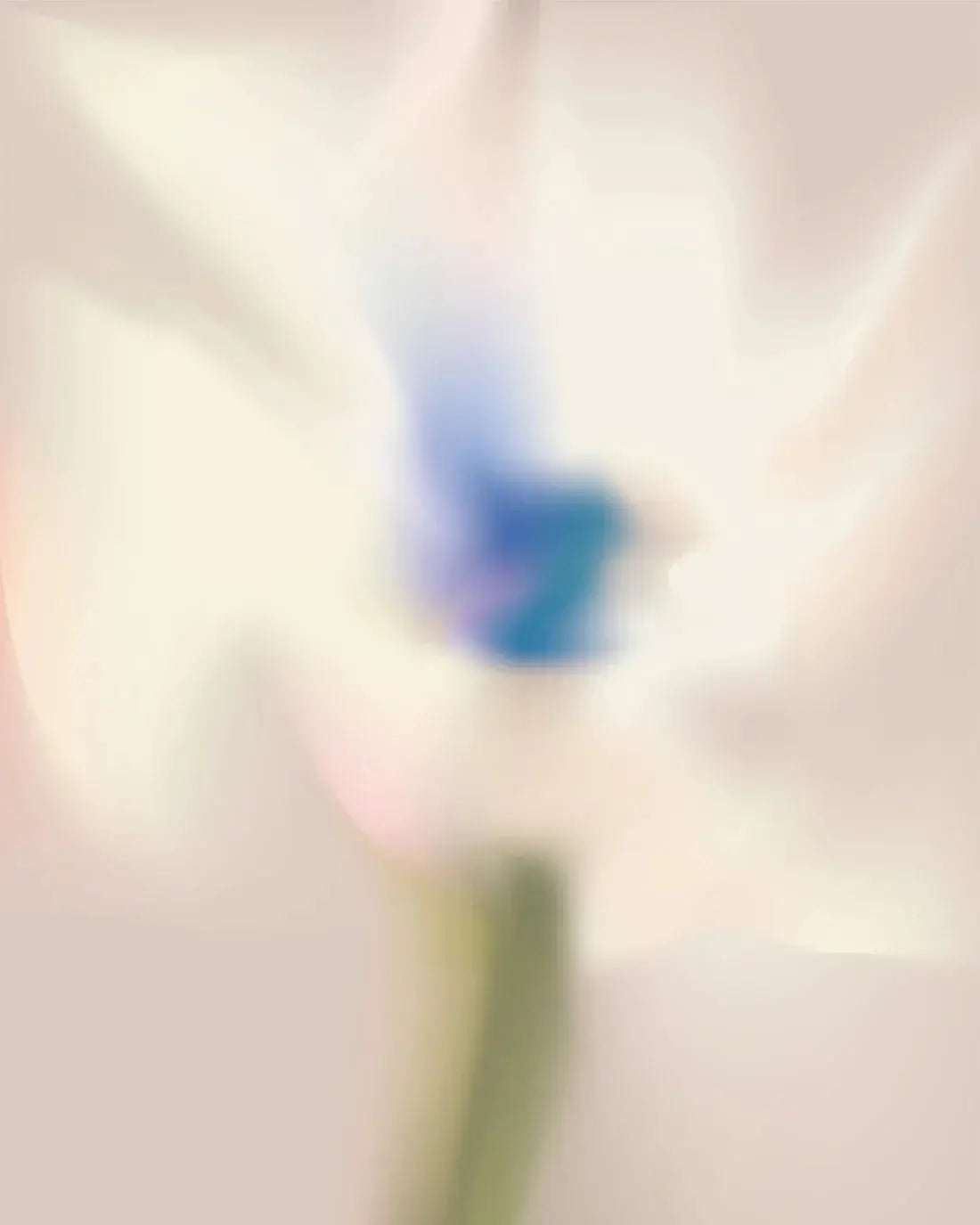 White Flower contemporary wall art print by Federico Sánchez - sold by DROOL