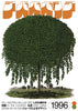 Willow Tree contemporary wall art print by George Kempster - sold by DROOL