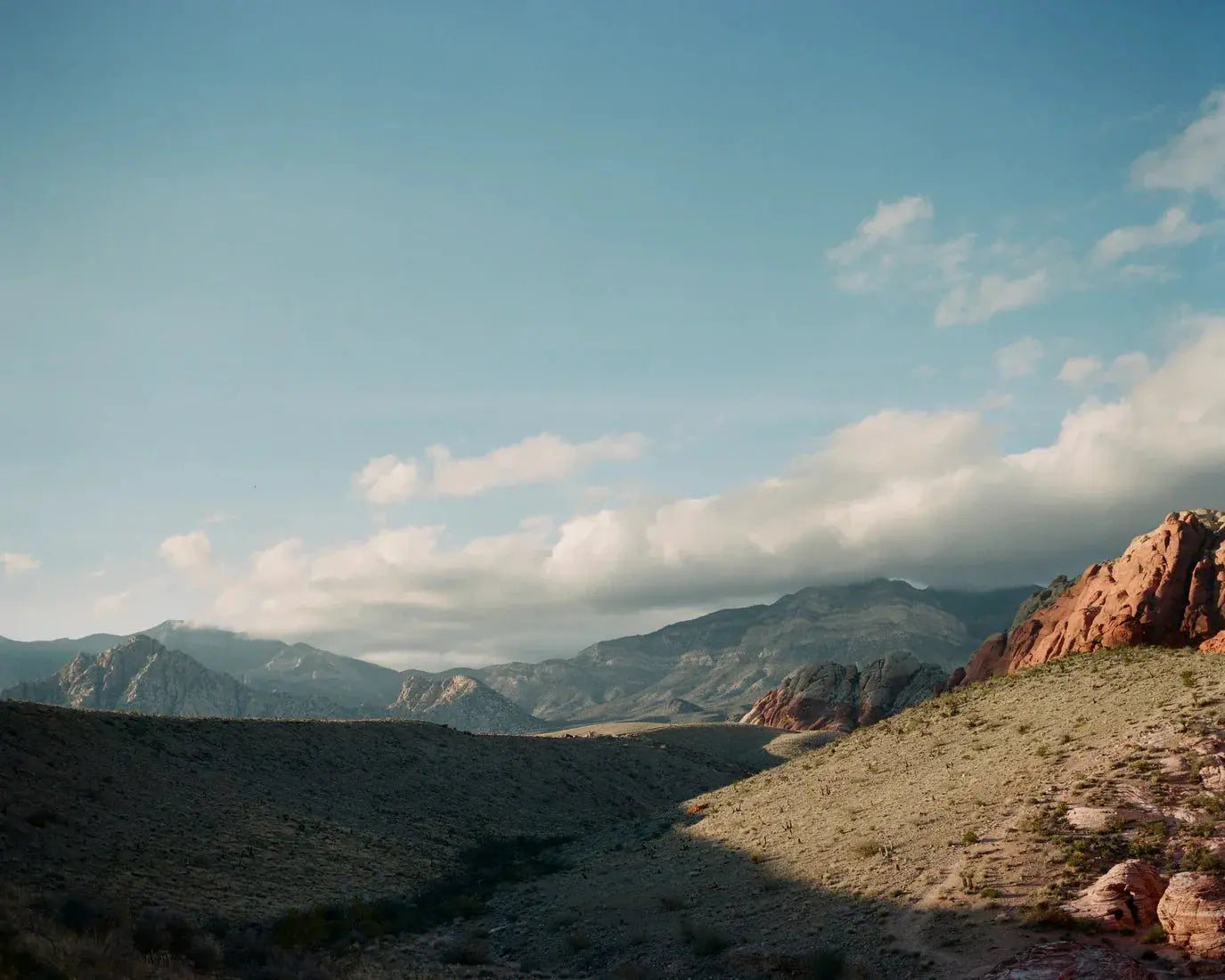 Desert Hush contemporary wall art print by Nirav Patel - sold by DROOL