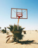 BALL IS LIFE contemporary wall art print by Ces XC - sold by DROOL