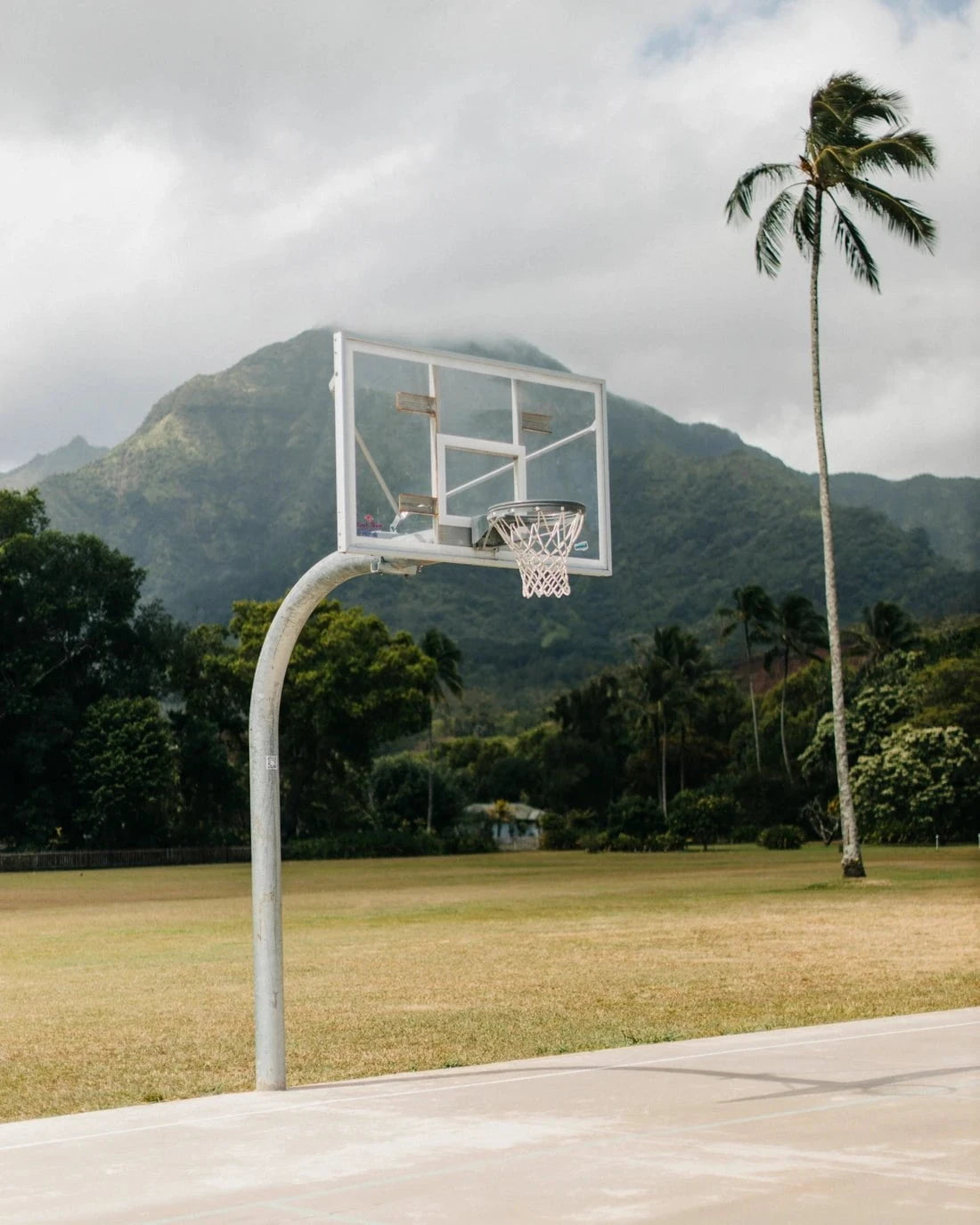 Hawaii Hoops contemporary wall art print by Kenzie Meeker - sold by DROOL