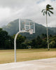 Hawaii Hoops contemporary wall art print by Kenzie Meeker - sold by DROOL