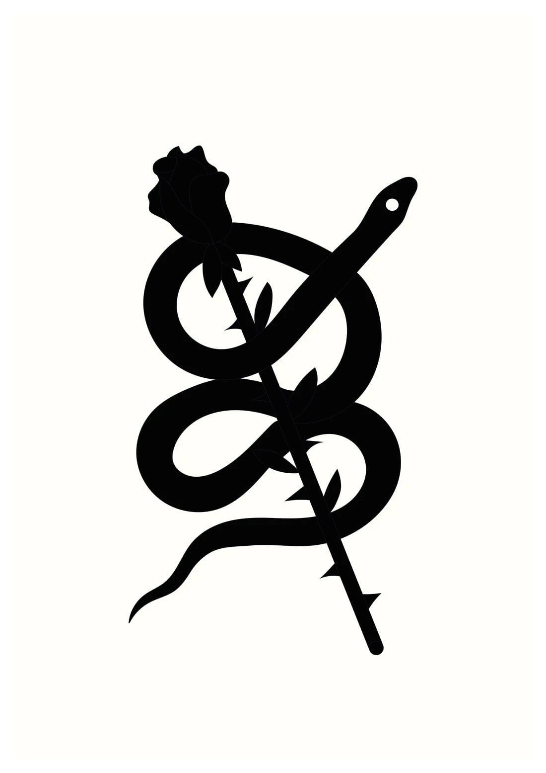 Rose contemporary wall art print by Juan Sebastián Rosillo - sold by DROOL
