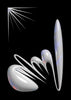 Four Twenty contemporary wall art print by Kim Van Vuuren - sold by DROOL