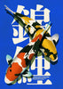 Nishikigoi 4 contemporary wall art print by Othman Zougam - sold by DROOL