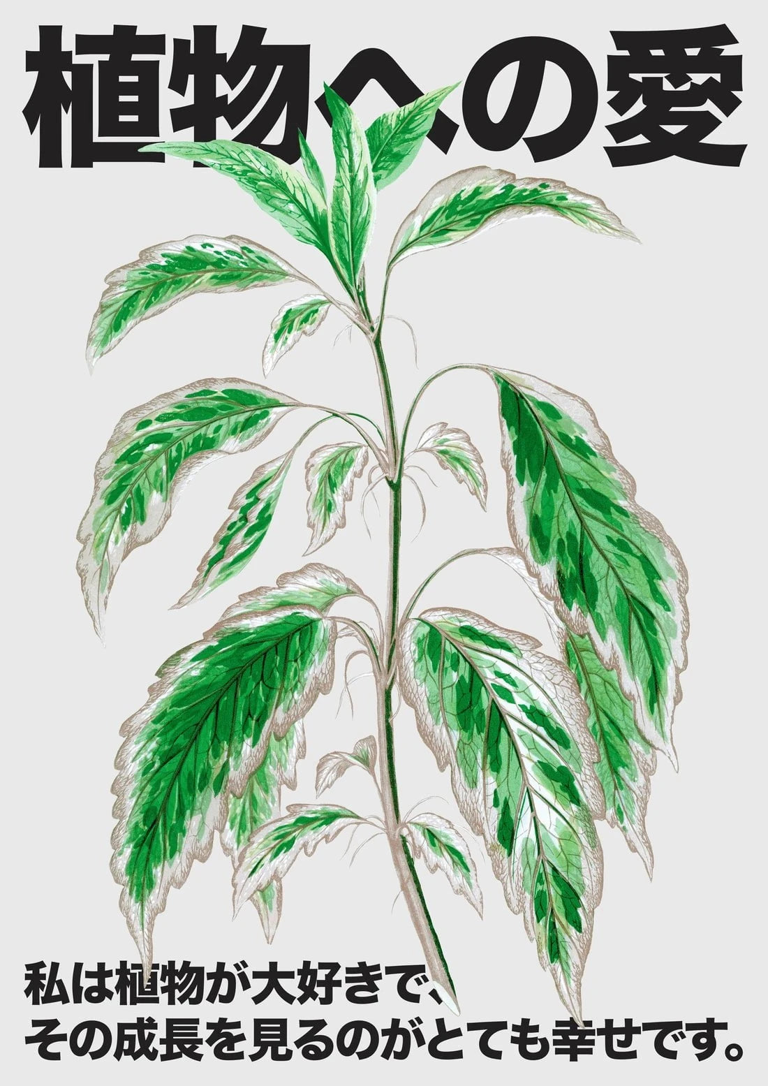Plant Love 3 contemporary wall art print by DROOL Collective - sold by DROOL