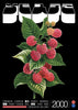 Cherub contemporary wall art print by George Kempster - sold by DROOL