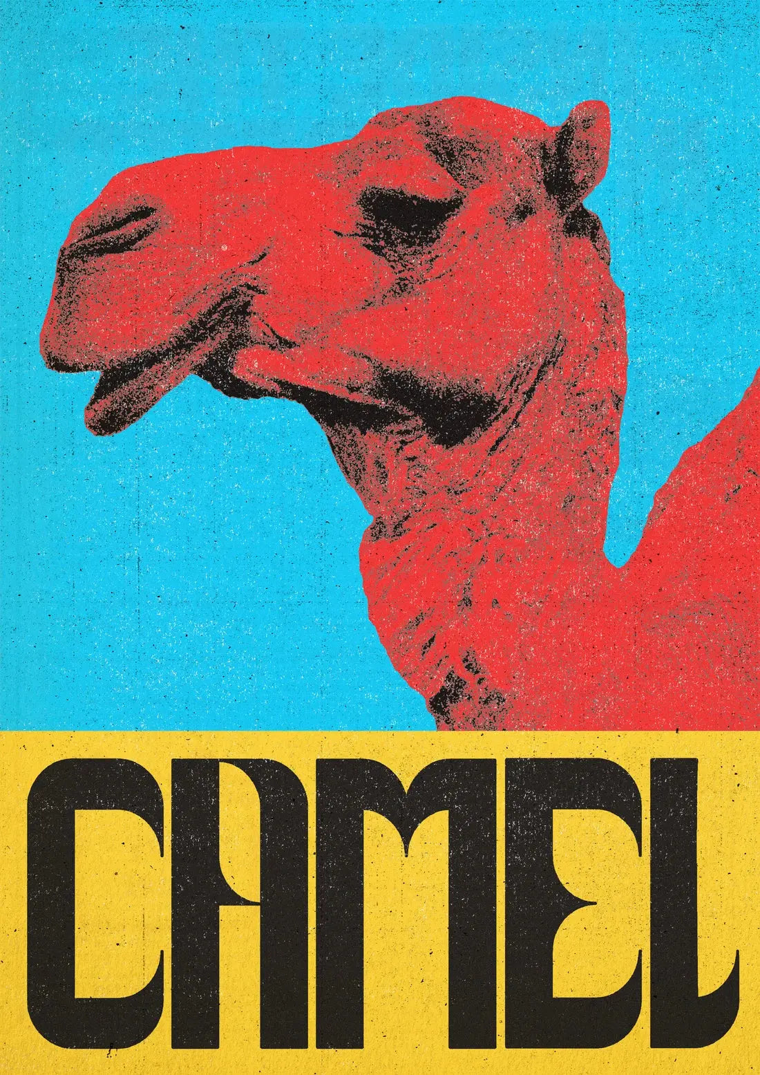 Camel