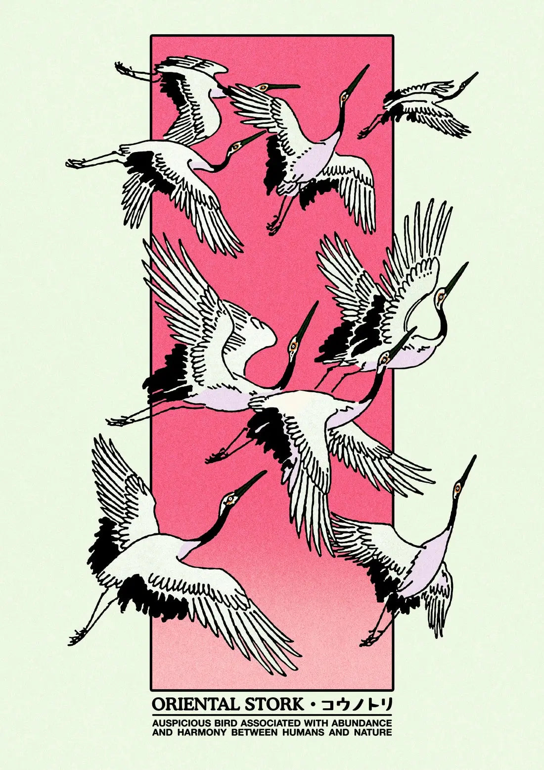 Oriental Stork