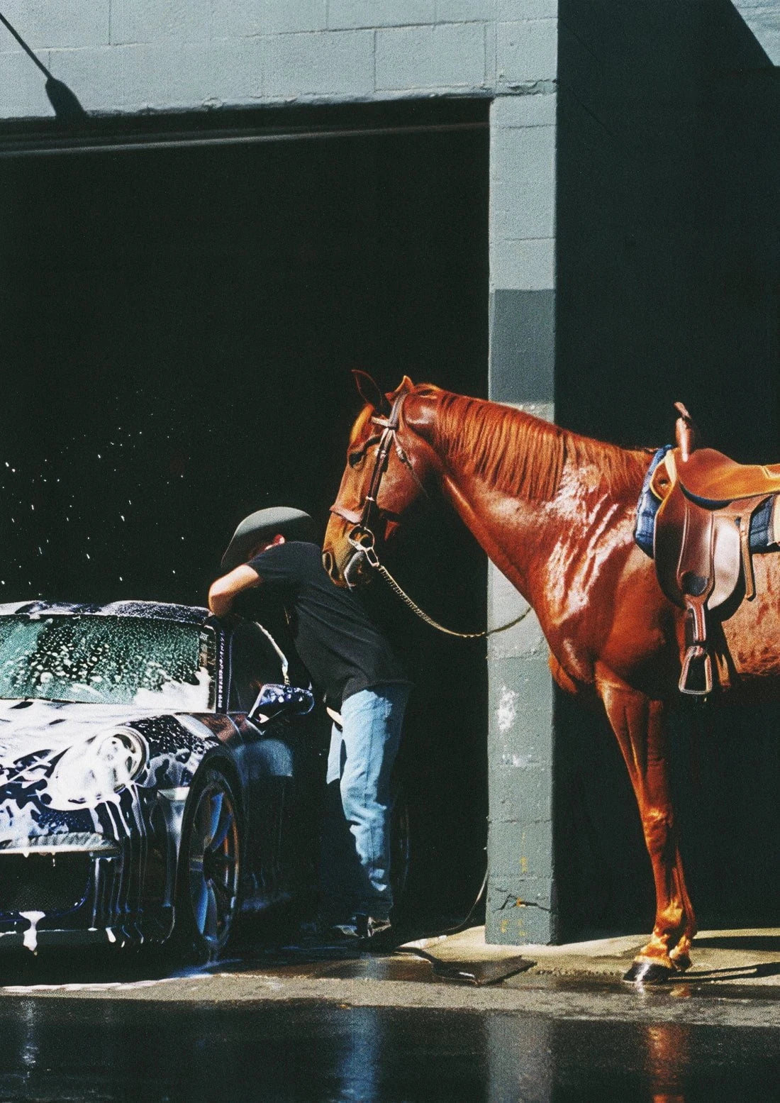 HORSEWASHING contemporary wall art print by Ces XC - sold by DROOL