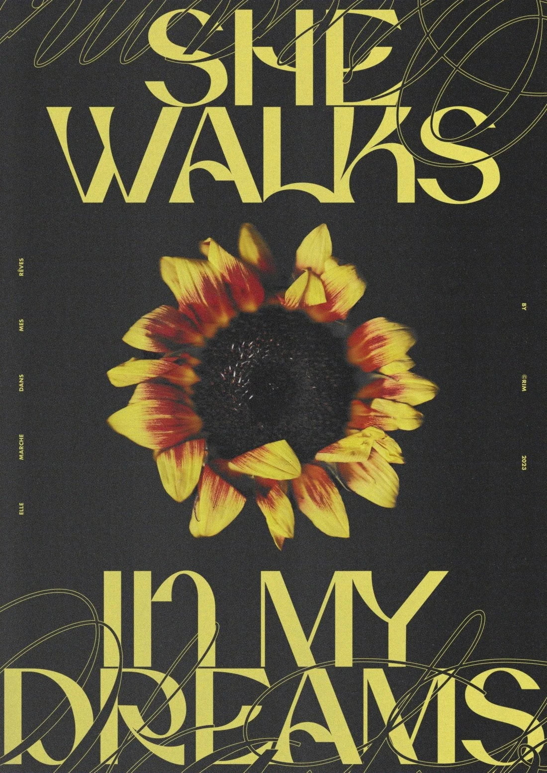 She Walks In My Dreams contemporary wall art print by RIM Atelier - sold by DROOL