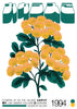 Thorn contemporary wall art print by George Kempster - sold by DROOL