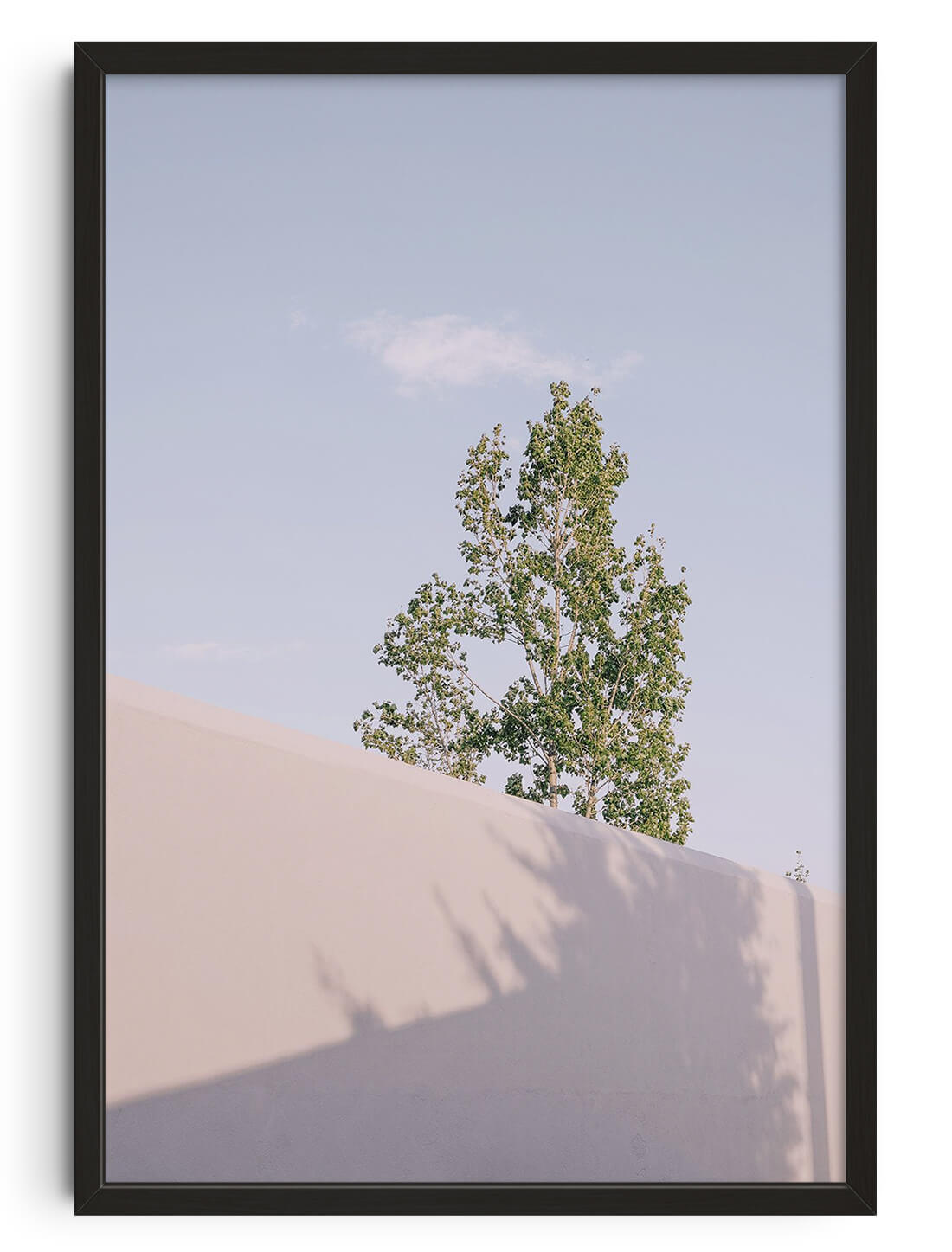 Under The Tree by Margarida contemporary wall art print from DROOL