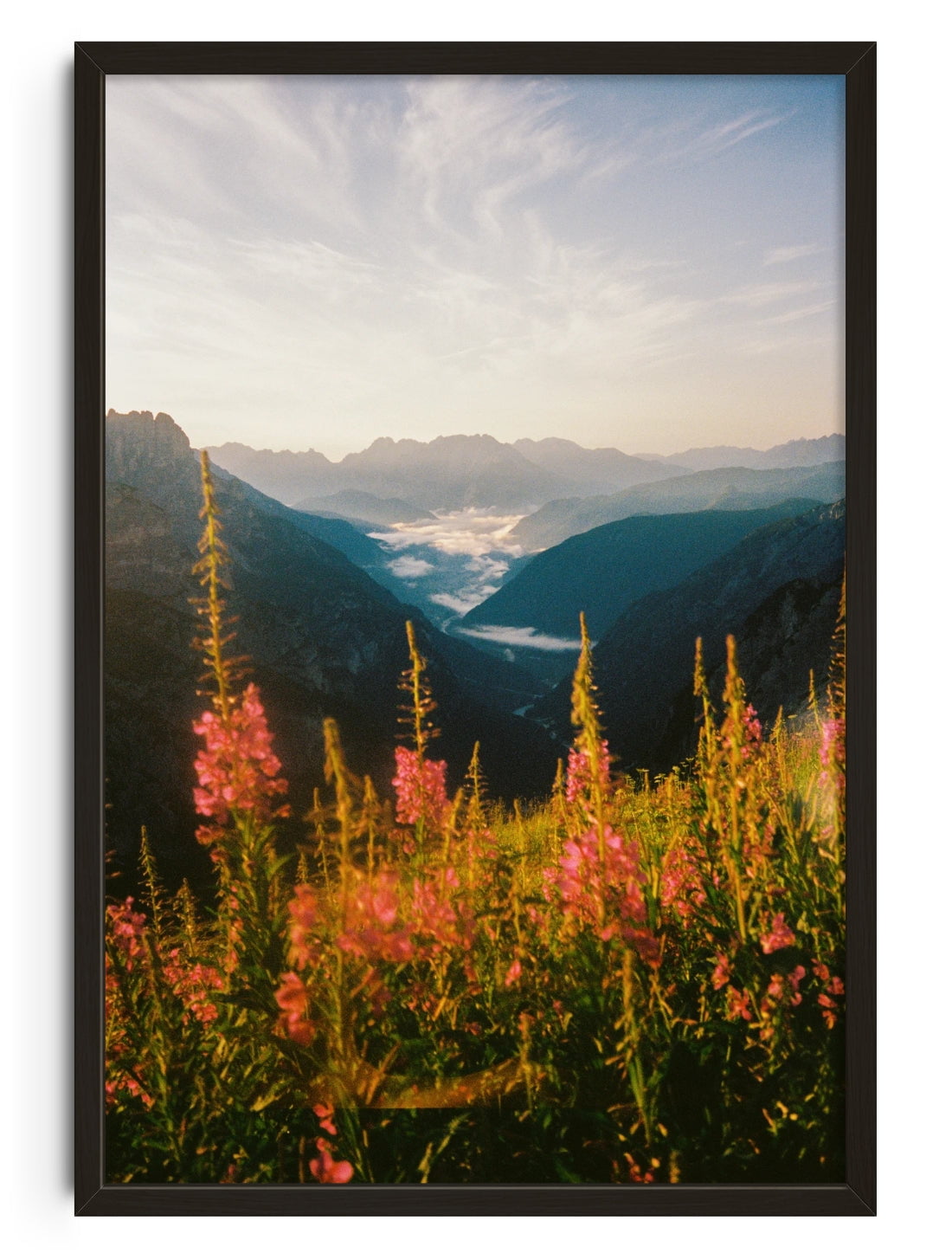 Wildflower contemporary wall art print by Jade Stephens - sold by DROOL
