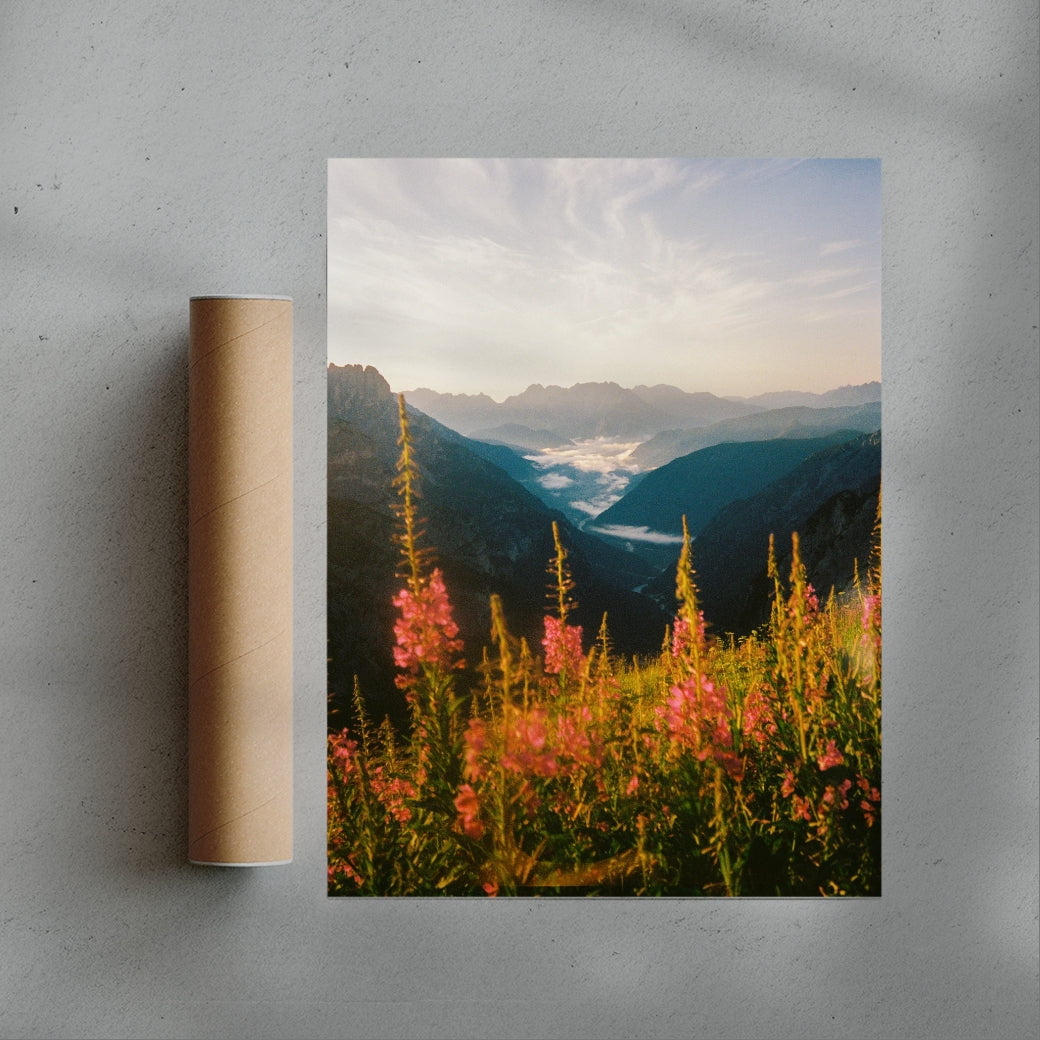 Wildflower contemporary wall art print by Jade Stephens - sold by DROOL