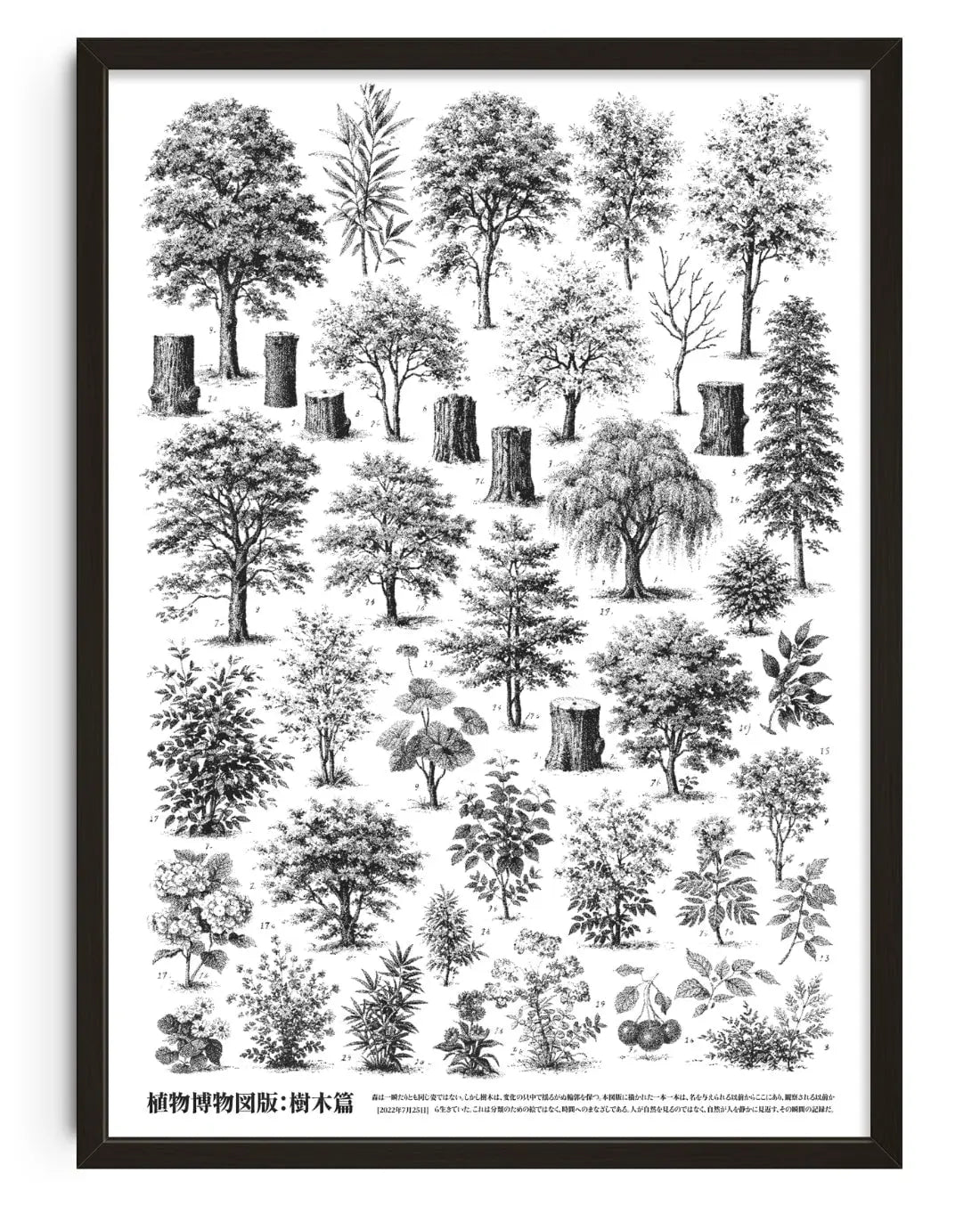 Whispers of the Woodland contemporary wall art print by Todd Pham - sold by DROOL