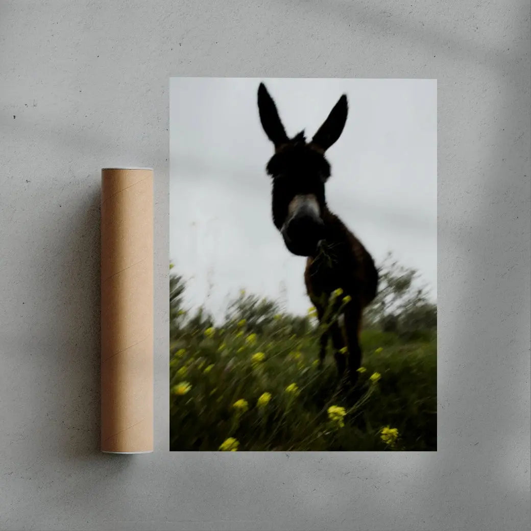 Morning Donkey contemporary wall art print by Omar Belattar - sold by DROOL