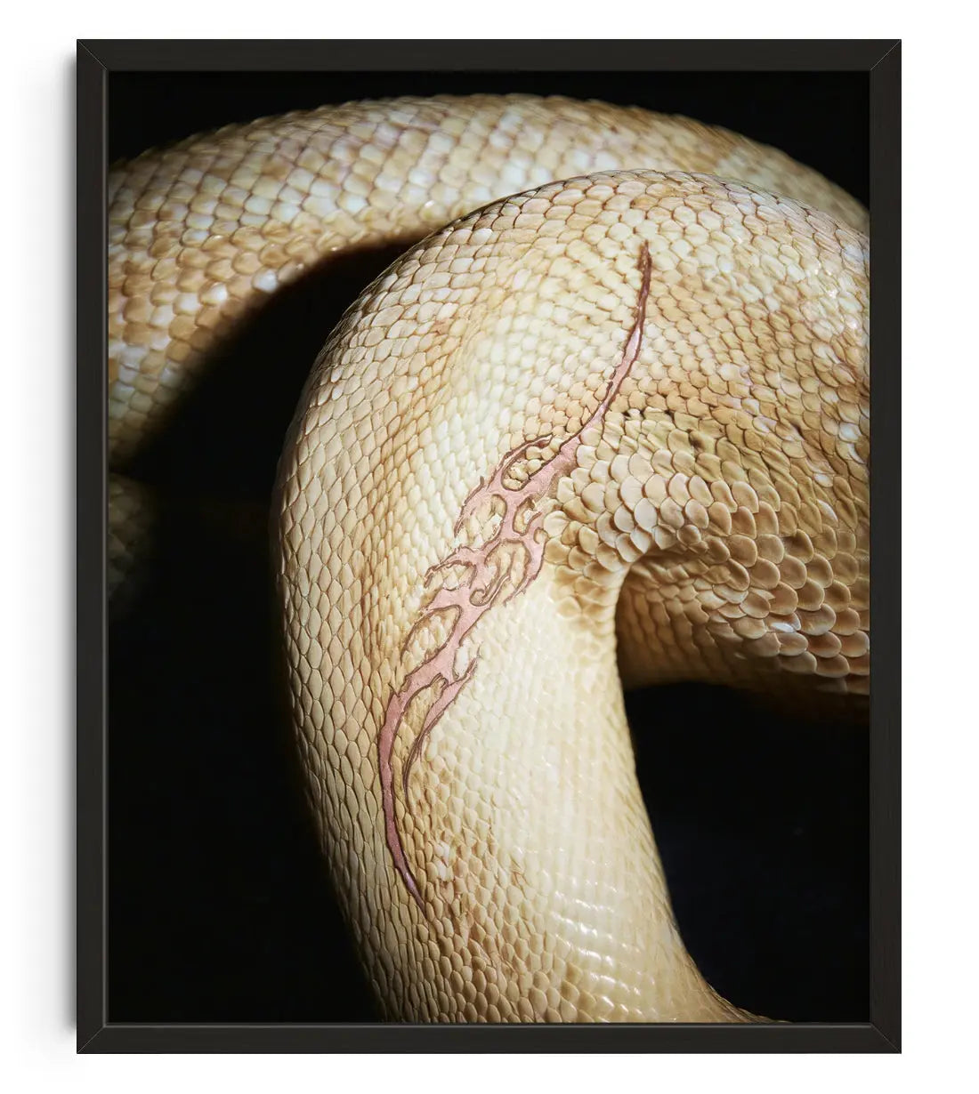 WHITE POISON. contemporary art print by Ces XC - sold by DROOL