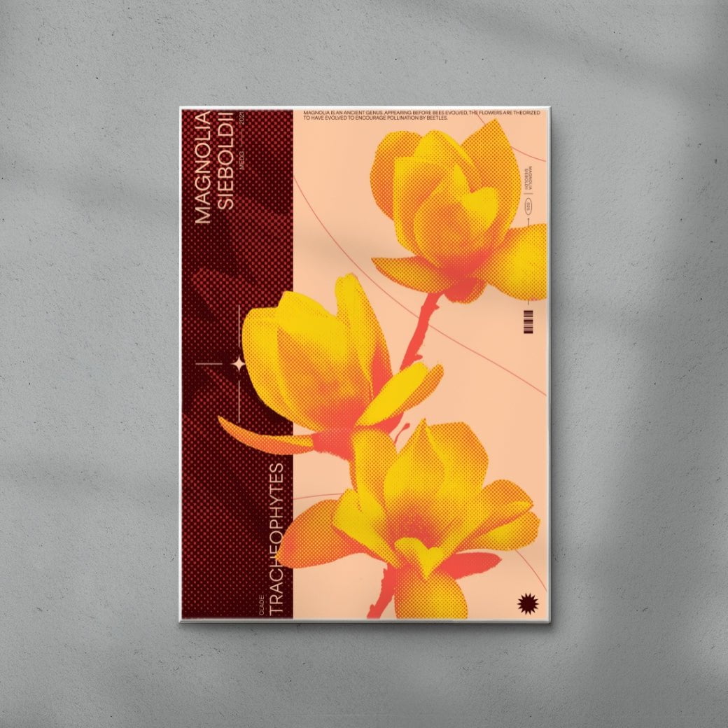 Magnolia contemporary wall art print by MEDG - sold by DROOL
