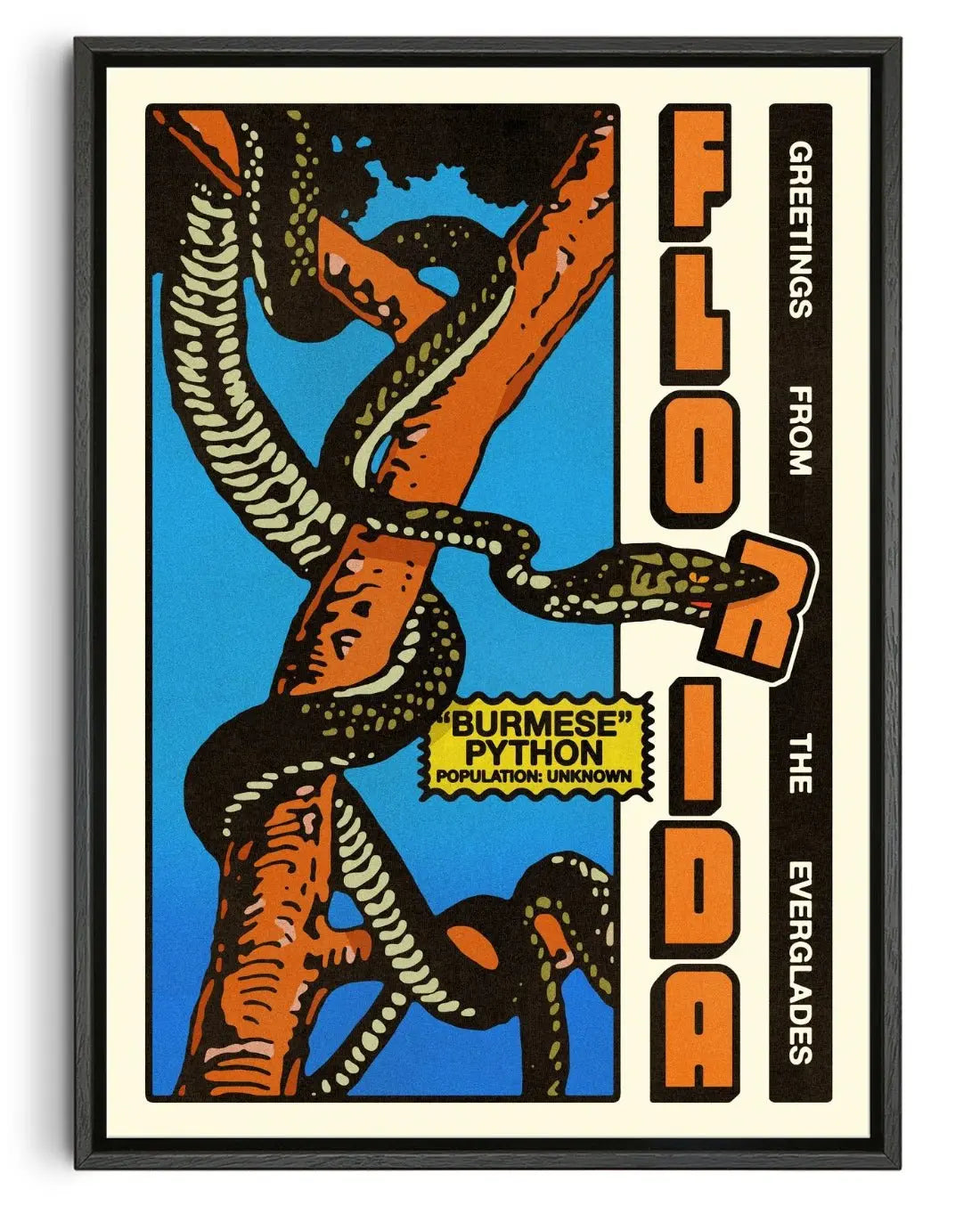 Florida Everglades contemporary wall art print by Othman Zougam - sold by DROOL
