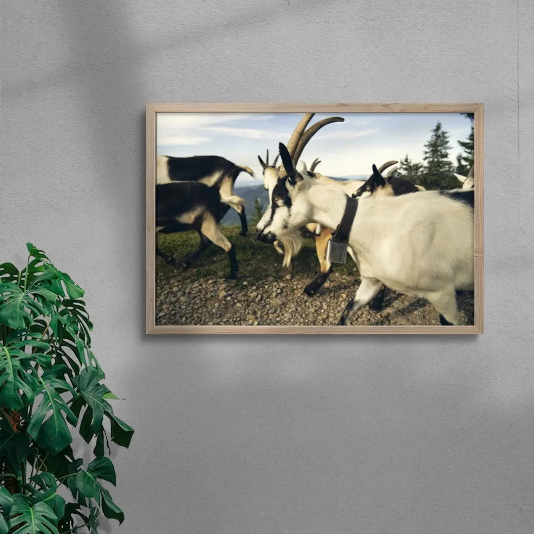 Mountain Herd contemporary wall art print by Shin Miura - sold by DROOL