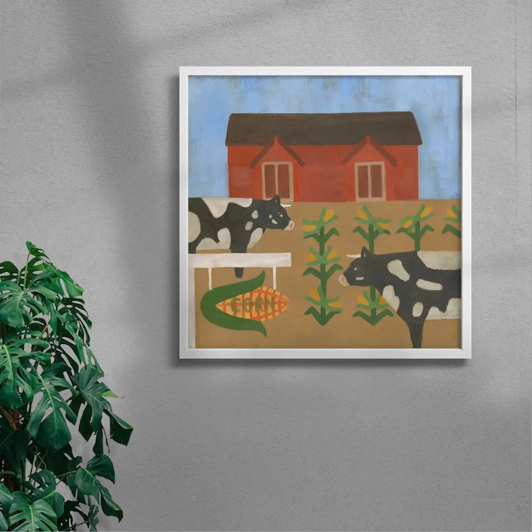 The cows that got the corn