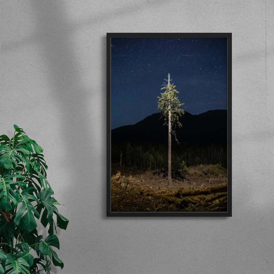 Lone Tree contemporary wall art print by Joshua Cogan - sold by DROOL