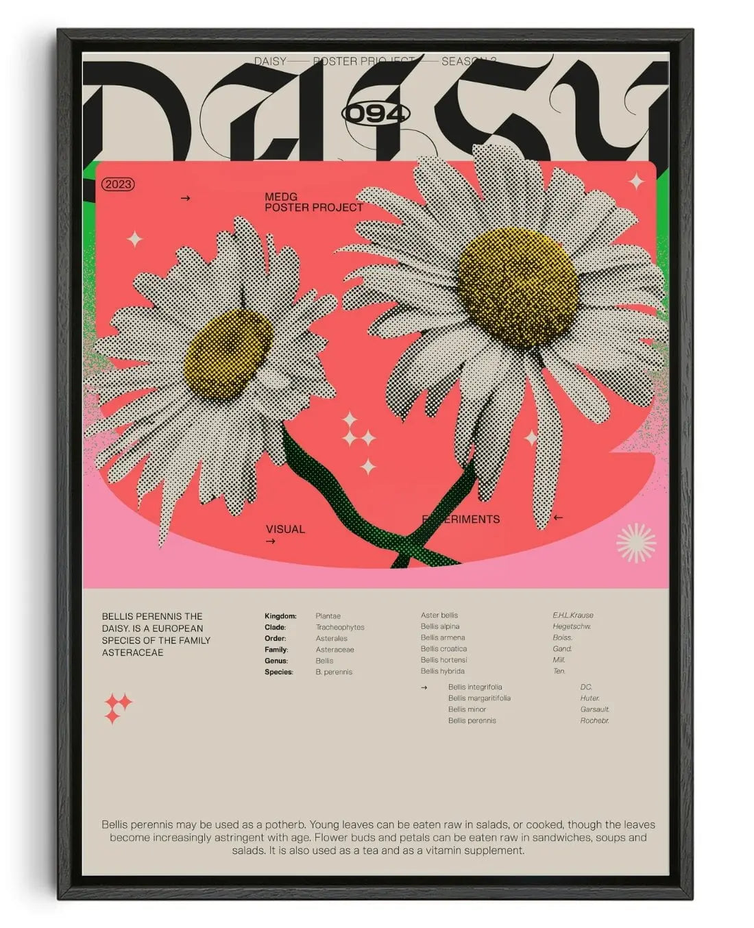 Daisy contemporary wall art print by MEDG - sold by DROOL
